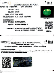 7.53/CT Natural Panna Stone with Govt. Lab Certificate (1665)